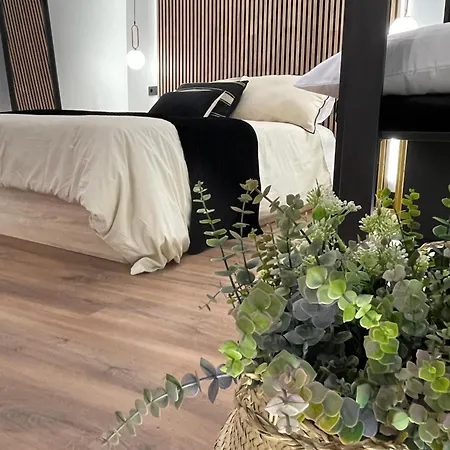 Lejlighed Plaza Mayor De Salamanca