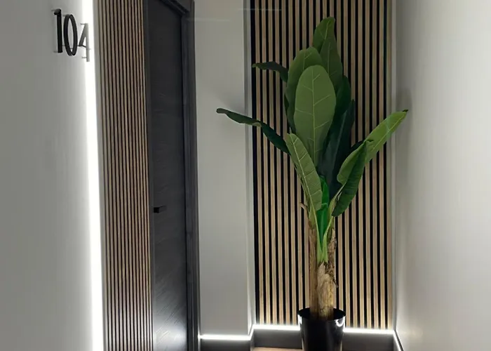 Daire Plaza Mayor De *